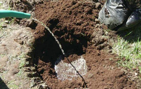 Préparation de la fosse