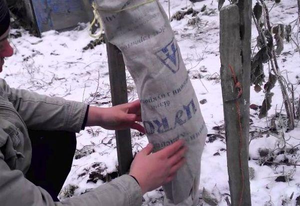 ที่พักพิงสำหรับช่วงฤดูหนาว