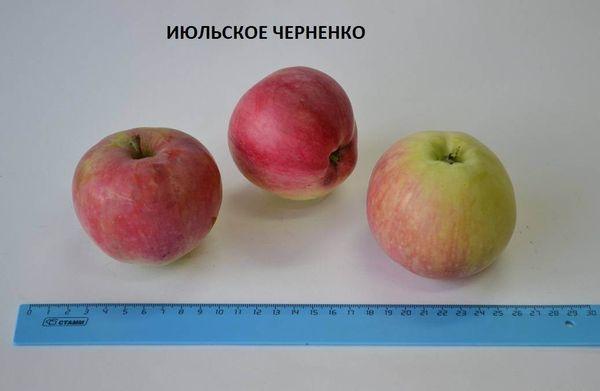 การเก็บรักษาพืชผล