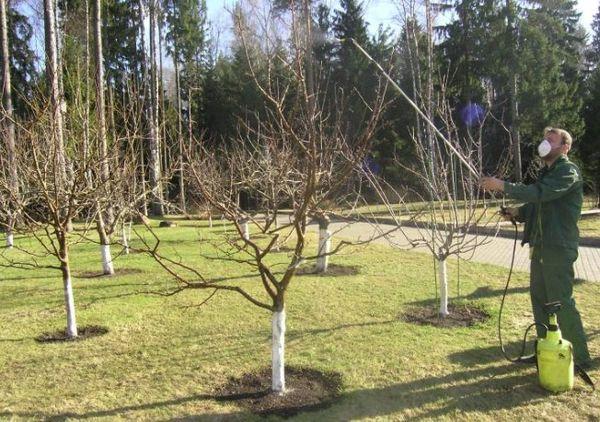 การบำบัดตามฤดูกาล