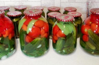 แตงกวาดองและมะเขือเทศสำหรับฤดูหนาว