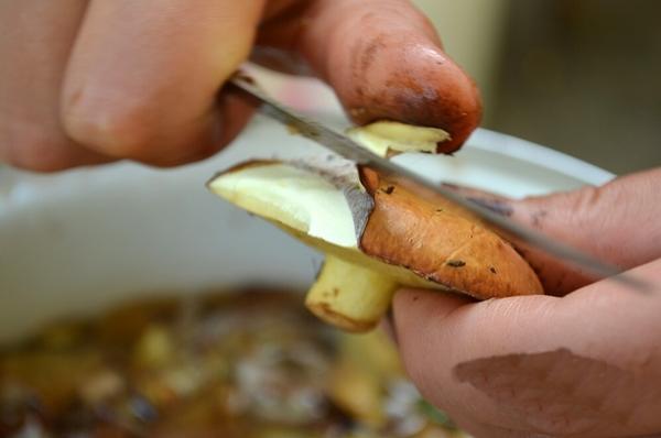 การทำความสะอาดเห็ดเนย