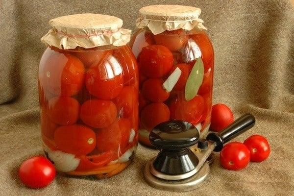 Tomates salées à froid en bocaux sans vinaigre