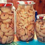 น้ำหมักอเนกประสงค์