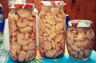 น้ำหมักอเนกประสงค์