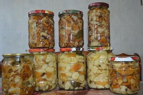 เห็ดหมักในน้ำของตัวเอง