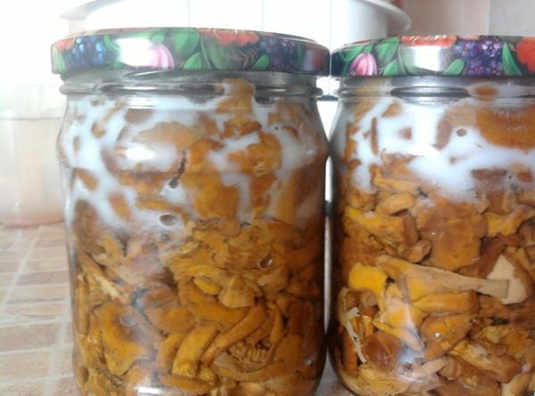 ฟ็อกซ์จอยในขวดโหล