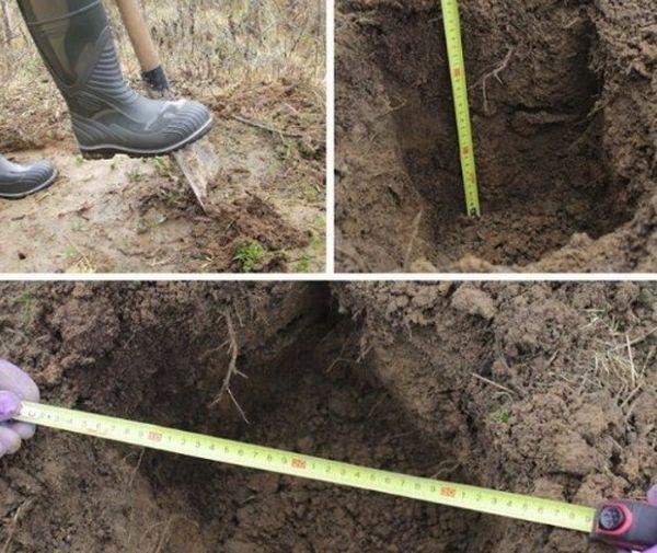 trou pour un poirier