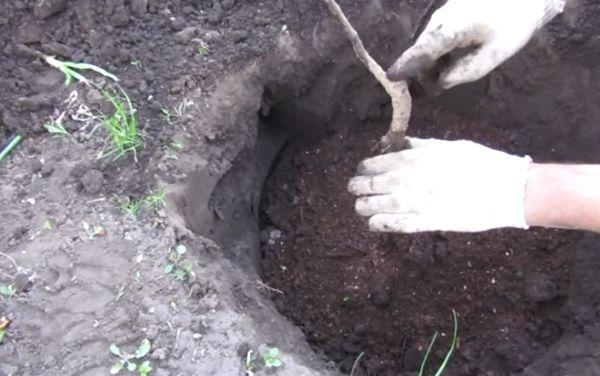 règles d'atterrissage