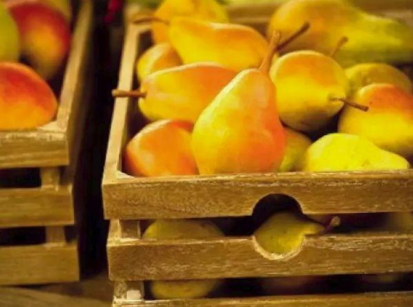 ลูกแพร์ฤดูร้อน