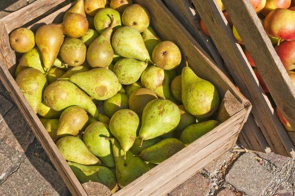 กล่องลูกแพร์