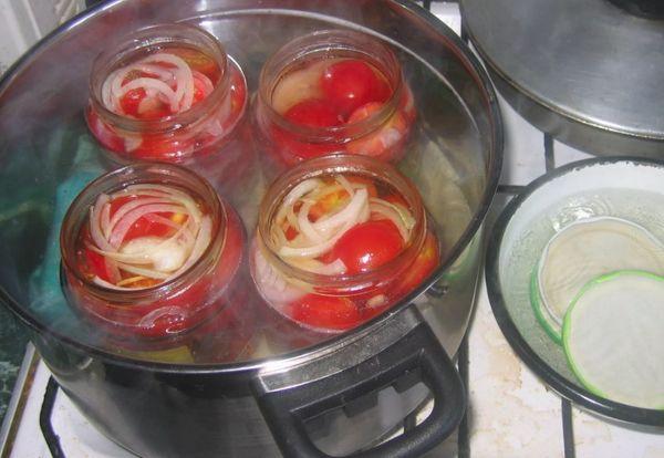 stérilisation des ébauches