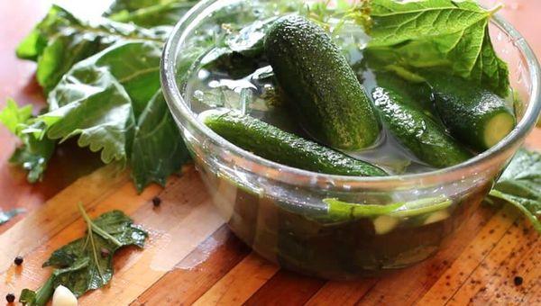 แตงกวาดอง