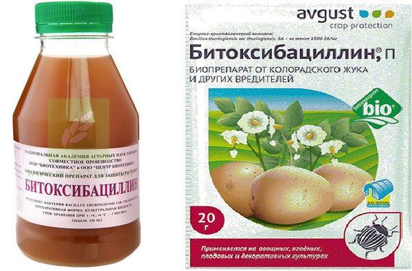 le médicament Bitoxibacilline