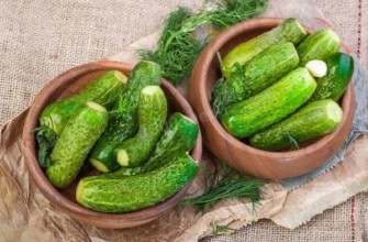 แตงกวาสำหรับดอง