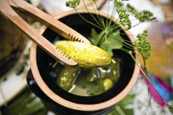 แตงกวาดอง