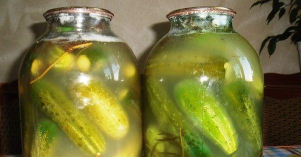 การดองแบบเย็น