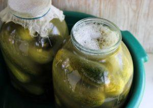 5 สูตรเด็ดแตงกวากระป๋องหมักดองไว้กินหน้าหนาว