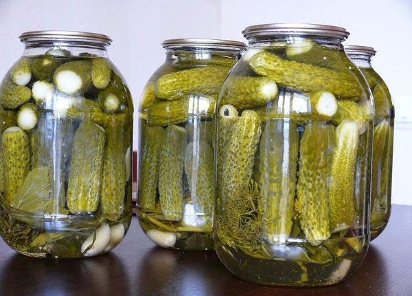 แตงกวาหวาน