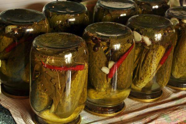 แตงกวากับพริก