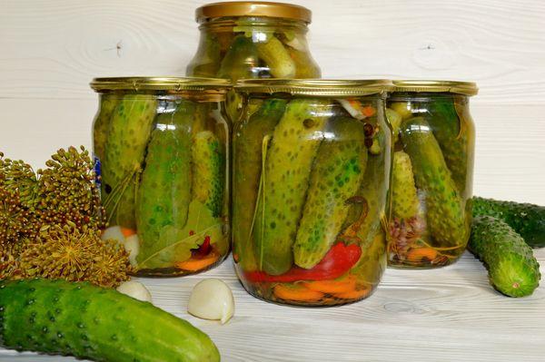 Cornichons marinés