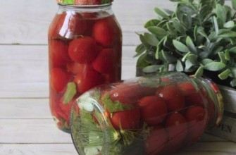 น้ำหมักคลาสสิก