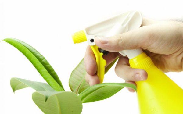 สเปรย์มะนาว