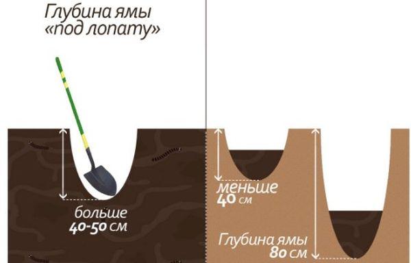 profondeur de la fosse