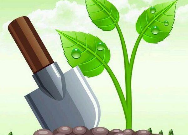 การใช้ปุ๋ย