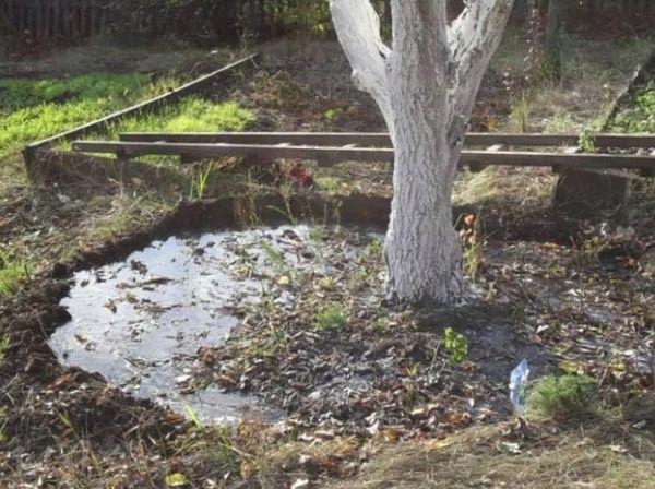 การรดน้ำต้นไม้