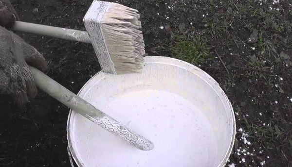 องค์ประกอบการฟอกขาว