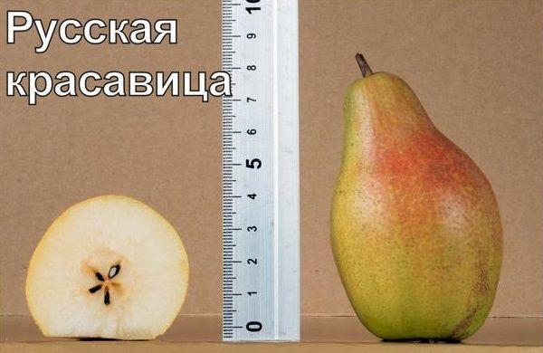 เนื้อลูกแพร์