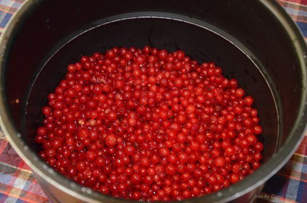 ลูกเกดในหม้อหุงช้า