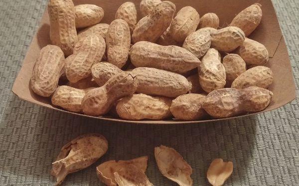 Krasnodarets 14 ถั่วลิสง