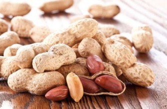 พันธุ์สเปน