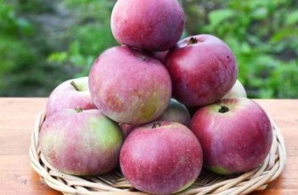 แอปเปิ้ลสุก