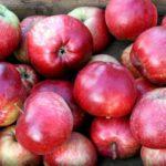 Variété de légendes