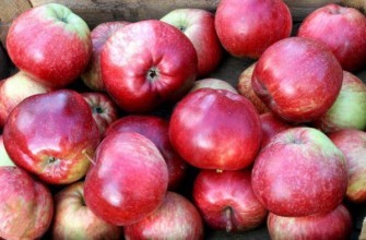 ความหลากหลายของตำนาน