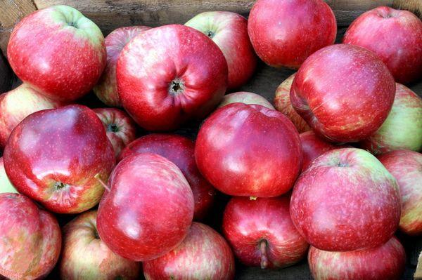 Variété de légendes