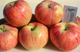 แอปเปิ้ลจูบิลี่