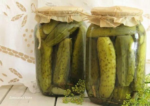 ความคิดถึงแตงกวา