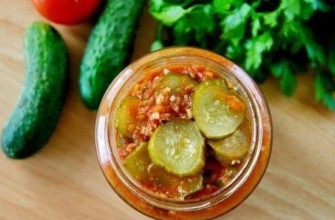 สลัดสำหรับฤดูหนาว