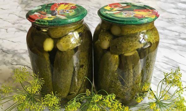 แตงกวาสำหรับฤดูหนาว