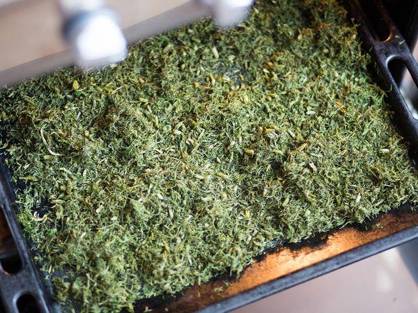 การอบแห้งสมุนไพร