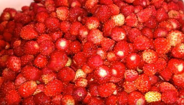 ผลเบอร์รี่สด