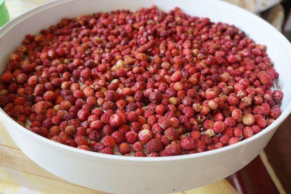 ผลเบอร์รี่แห้ง