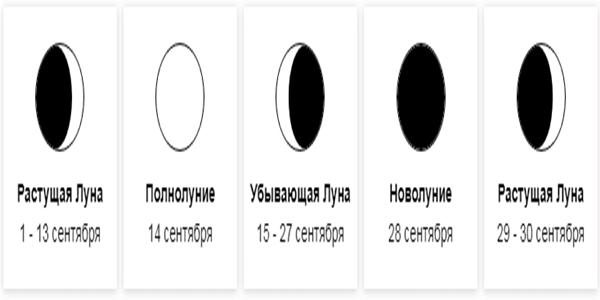 ในภูมิภาคยุโรป พืชสวนและพืชผักปลายฤดูจะถูกเก็บเกี่ยวในเดือนกันยายน ช่วงครึ่งหลังของเดือนฤดูใบไม้ร่วงนี้จะใช้เวลาไปกับการตัดแต่งกิ่งและปลูกต้นไม้เล็ก