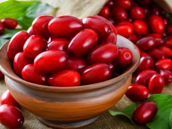 ดอกไม้สำหรับฤดูหนาว