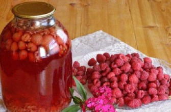 ราสเบอร์รี่คอมโพทสำหรับฤดูหนาว