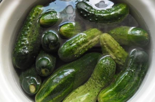 วิธีขจัดความขมออกจากแตงกวาก่อนดอง